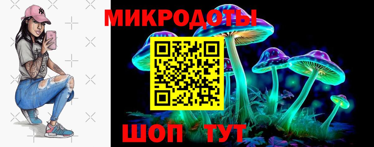 закладки  Вход с VPN  Гагарин  Псилоцибиновые грибы Cubensis  Псилоцибиновые грибы прущие грибы 